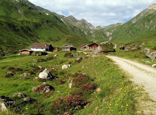 Käseliebhaber kommen in der Bergkäserei Stoankasern auf ihre Kosten