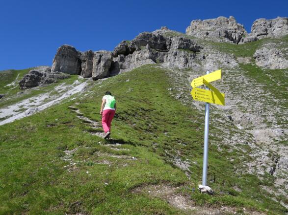 Unser Weg führt wieder nach oben.