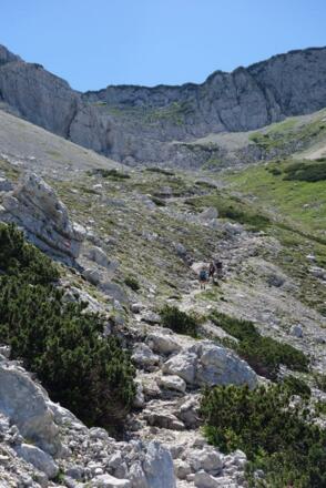 Blick hinauf in ca. in der Mitte des Nockkar