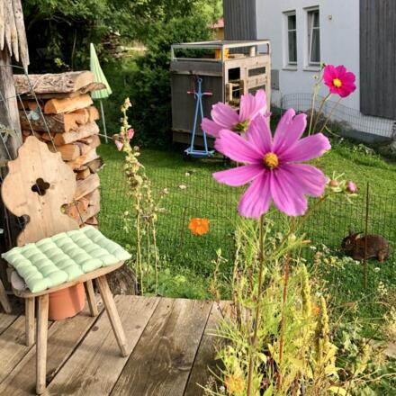 Blütenträume und Hasenfreuden