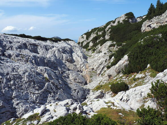 Rinne, Abstieg vom Rumpler um 1945m