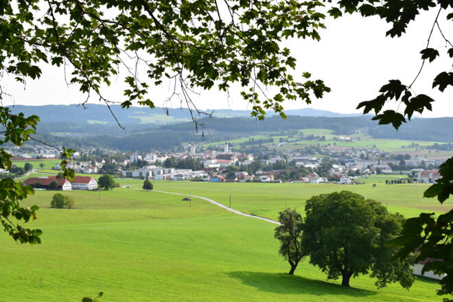 Freistadt vom SW-gesehen