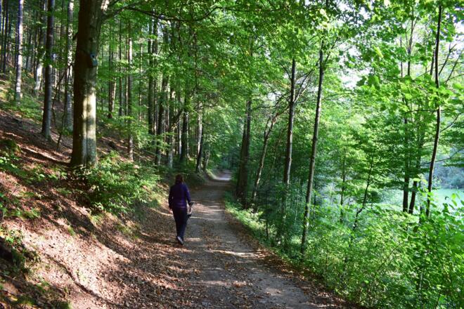 Idylle im Thurytal - 1