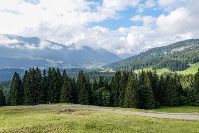 Straussberg Hörnlepass