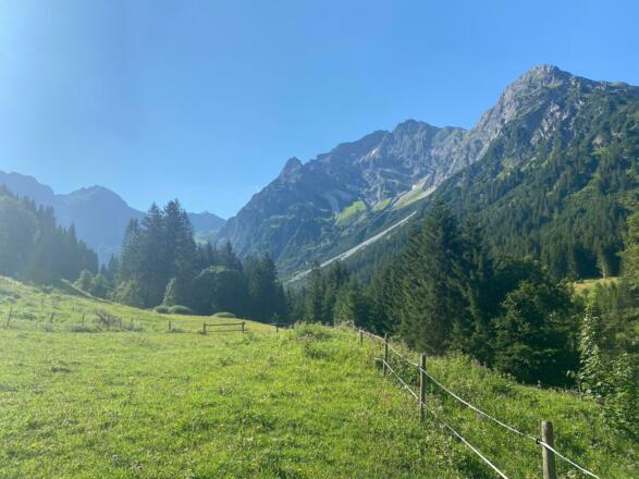 Ausblick in das Wildental