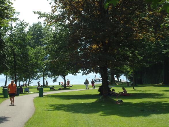 Sommertag im Sprinzensteinpark