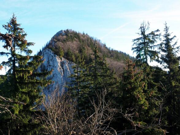 Dürres Eck vom Gratgipfel 1105m gesehen.