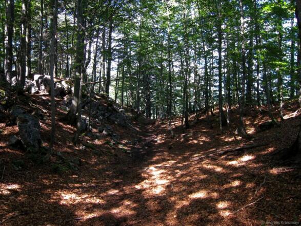 Kirchdorf_Niederkaiser_Wilder Kaiser