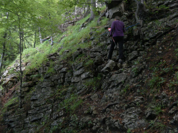 Trittfestigkeit nötig