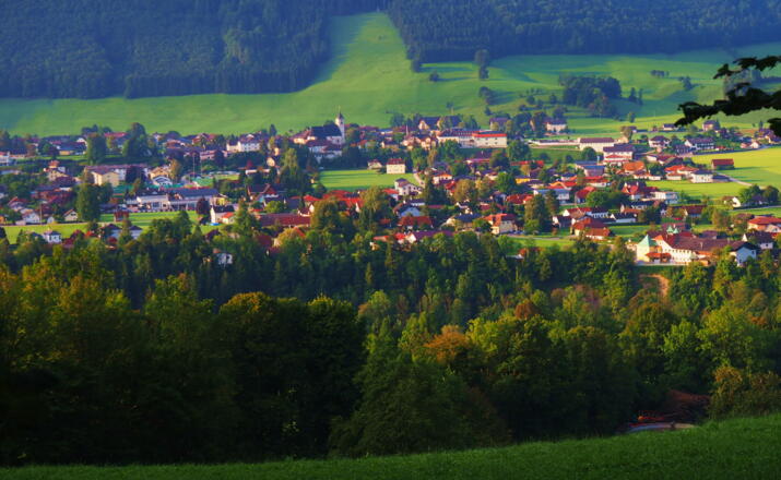 Blick nach Molln von ca. 515m Forststraße