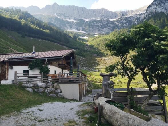 Scheffau_Kaiseralm_Wilder Kaiser