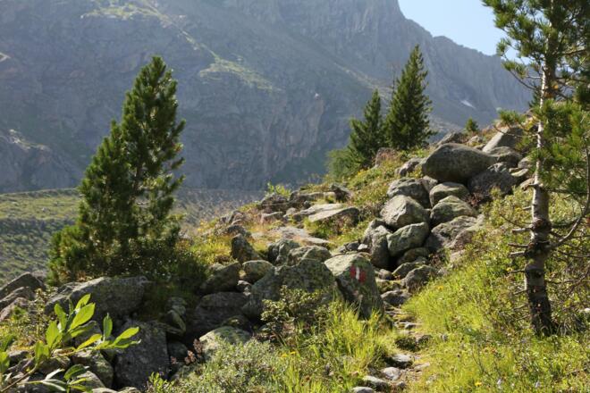 Seitenmoräne mit Blick aufwärts