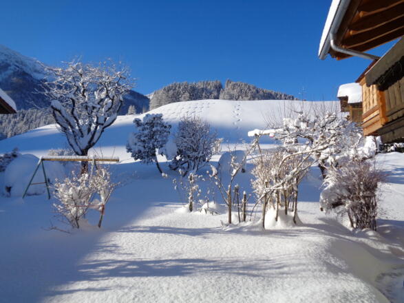 unser Garten im Winter