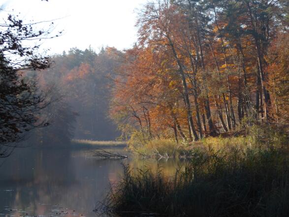 Naturschutzgebiet Herbst