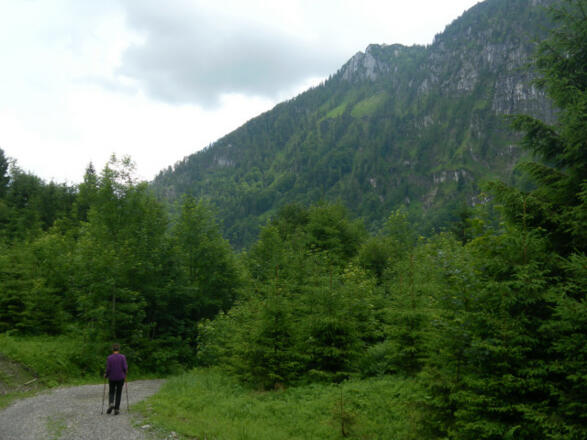 Forstweg nach Traxenbichl mit Blick auf den Zwillingskogel