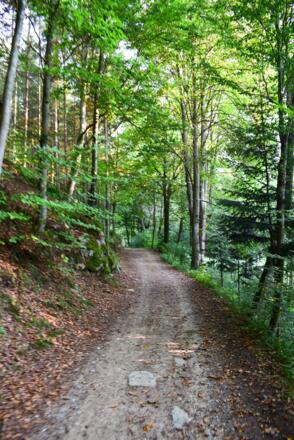 Idylle im Thurytal - 3