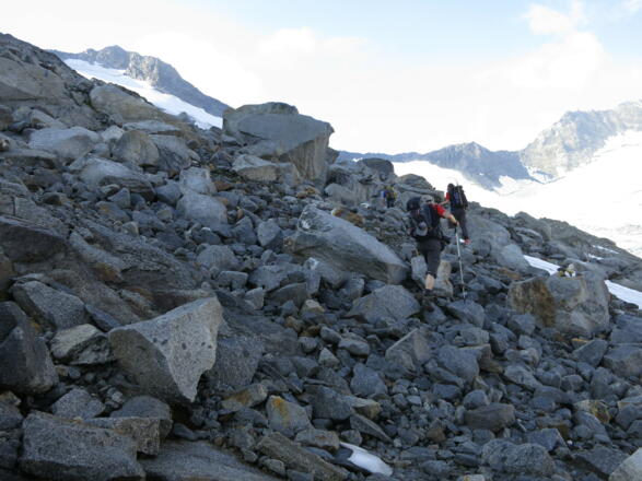 Über Felsblöcke zum Hornkees