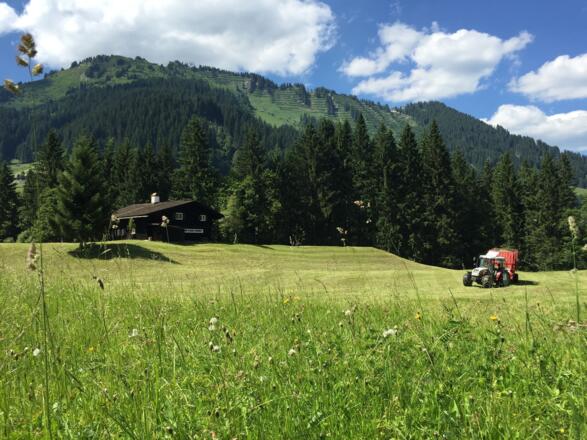 Gemsteltal im Sommer