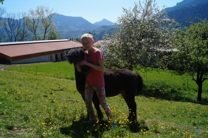 Unser Pony lässt sich auch gerne streicheln