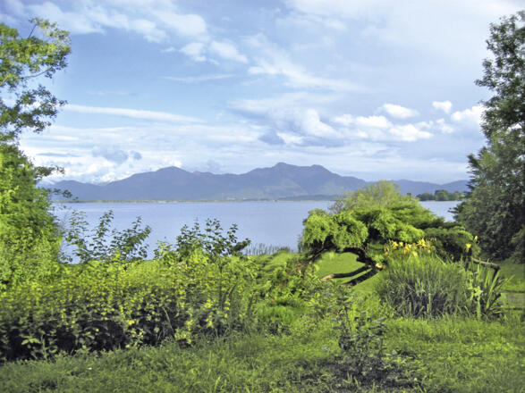 Blick vom Haus auf den See