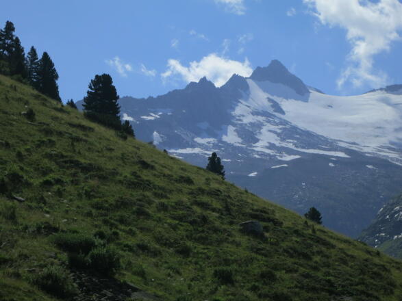 Berliner Spitze über dem Hornkees