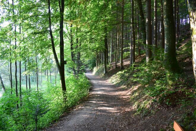 Idylle im Thurytal - 2