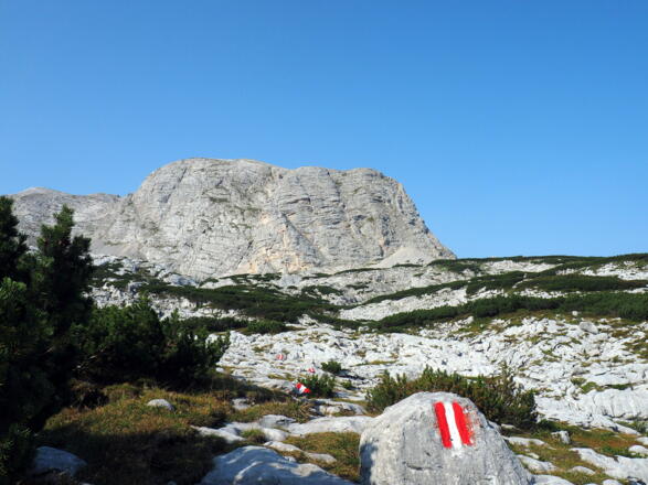 Das Gipfelziel, der Taubenkogel