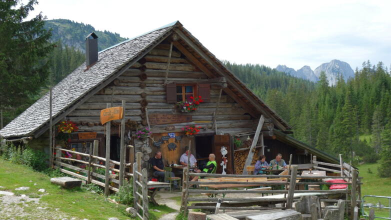 Grubalm 1348m unter der Forststraße