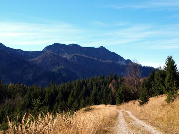 Forststraße um 1200m bei der Abfahrt mit Spering