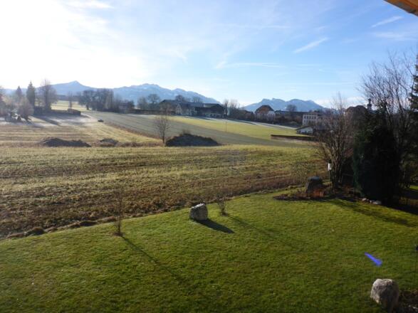 Garten Blick nach Südwesten