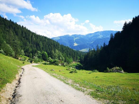 Scheffau_Kaiseralm-Runde_Wilder Kaiser