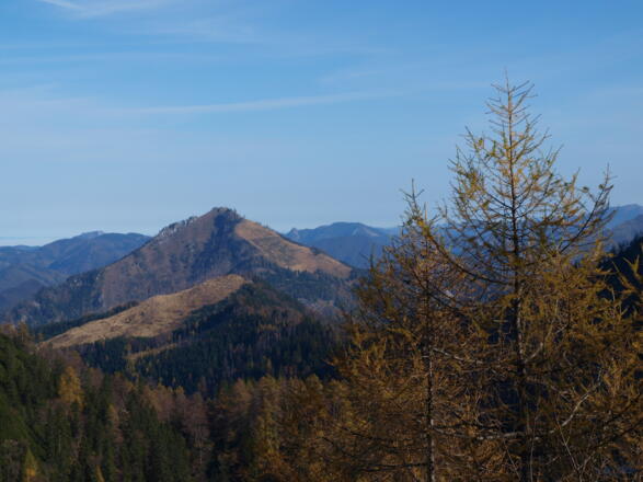 Ramsauer Größtenberg von Süden (Spering) gesehen