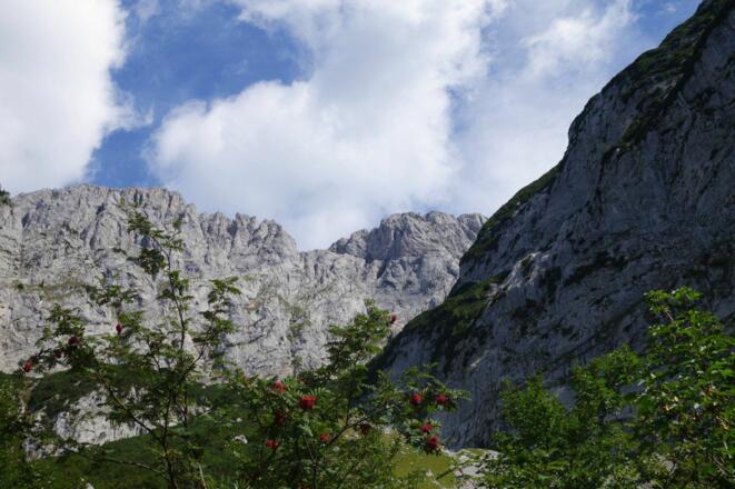 Scheffau_Multerkar_Wilder Kaiser