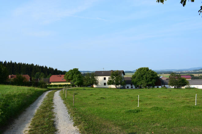 Dreißgen, einer der höchsten Punkte der Runde