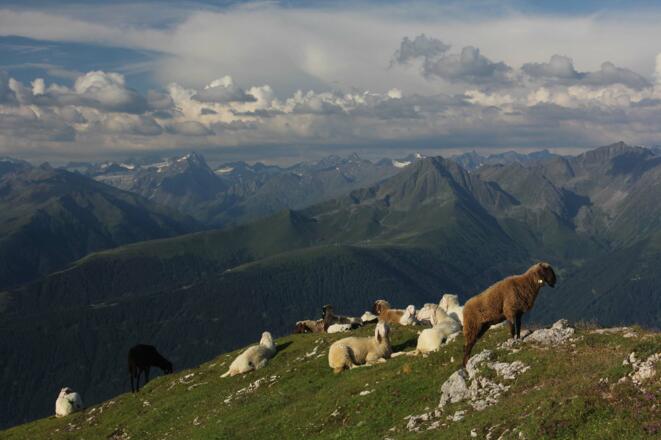 Blick Richtung Stubaier Alpen