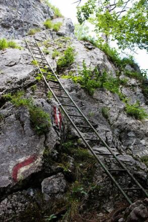 Going_Schleierwasserfall _Leiter_Wilder Kaiser