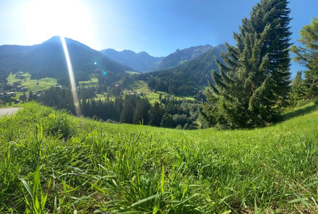 Ausblick in das Wildental