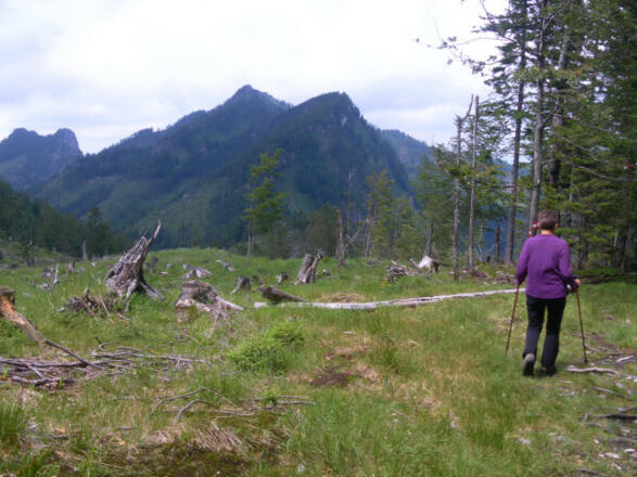 Abstieg am Nordwestrücken, dahinter Katzenstein und Steineck