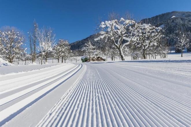 001180_Langlaufen_Martin-Raffeiner