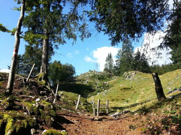 Kirchdorf_Niederkaiser_Wilder Kaiser