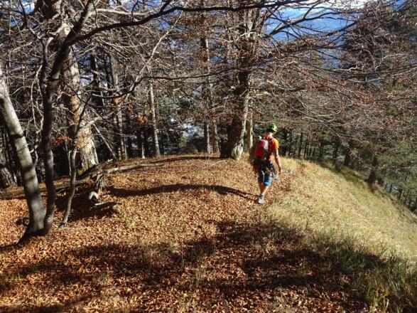 Über den steilen Weg wieder ins Tal