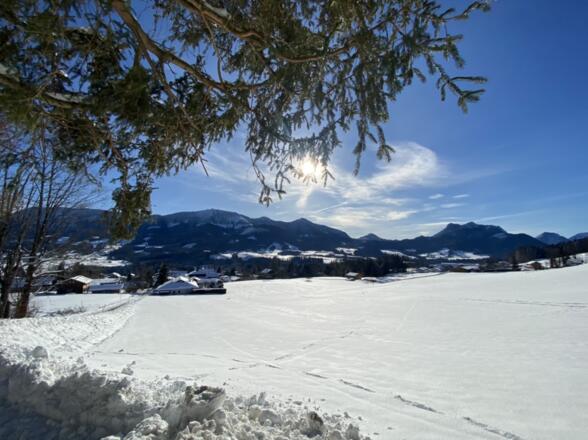 Blick Oberhalb des Ferienhauses