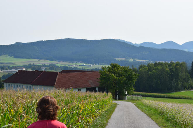 Vorbei an Vierkanthöfen, Blick zum Braun- und Grensberg