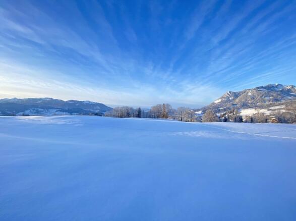 Winterlandschaft mit Bergpanorama am Ferienhof Stiefel