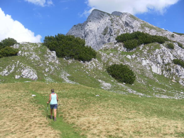 am Kamm vor der Sunntigerspitze