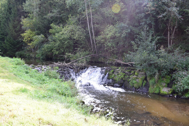 Feldaist bei der Pührmühle
