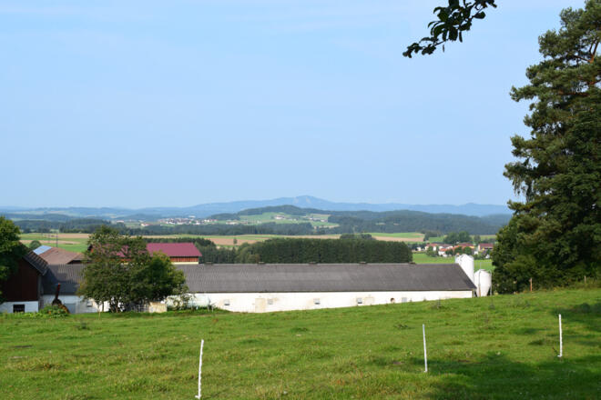 Blick auf den Sternstein von Dreißgen aus.