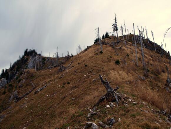 Größtenberg und Vorgipfel 1455m