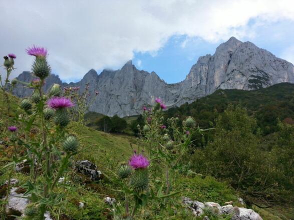 Going_Ackerl- und Maukspitze_Wilder Kaiser