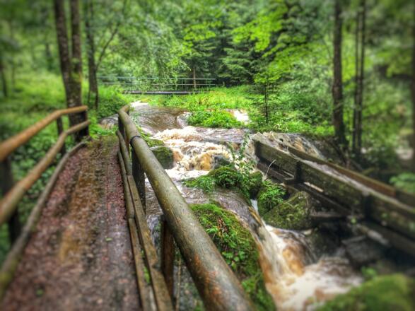 Klammleiten &quot;Gfluder&quot;